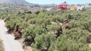 Plaka bei Chania MIT VIDEO: Kreta, Plaka: Erstklassige Grundstück in Plaka – Meerblick und zentrale Lage Grundstück kaufen